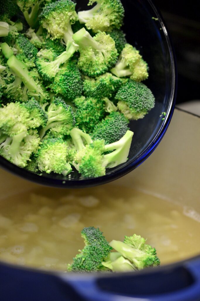 Broccoli Cheddar 7