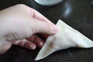 Gyoza Pork Dumplings 10