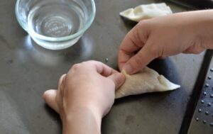 Gyoza Pork Dumplings 9